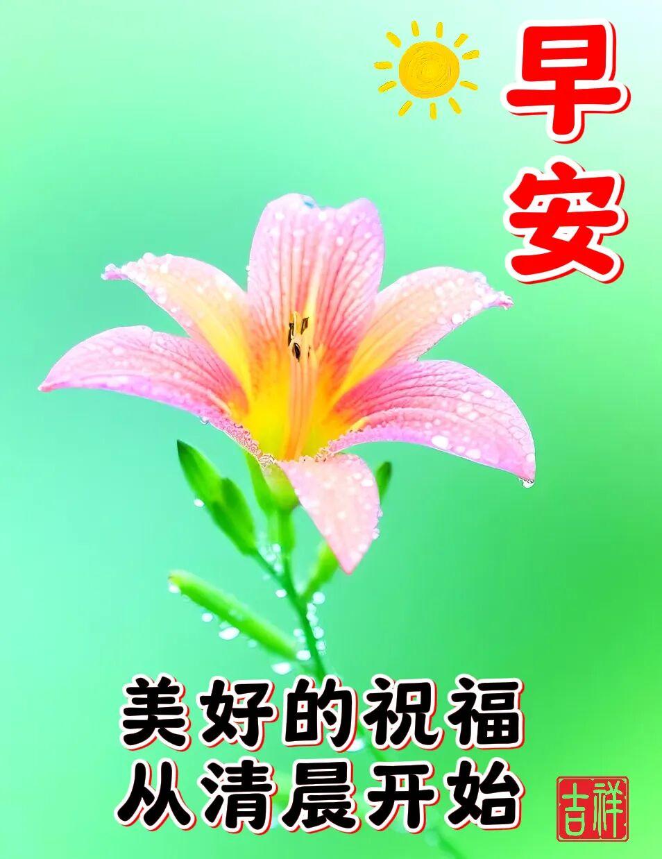 🌹快乐是一天的内容；🌹健康是一生的期盼；🌾幸福是美好的心愿；🌲让我们一起