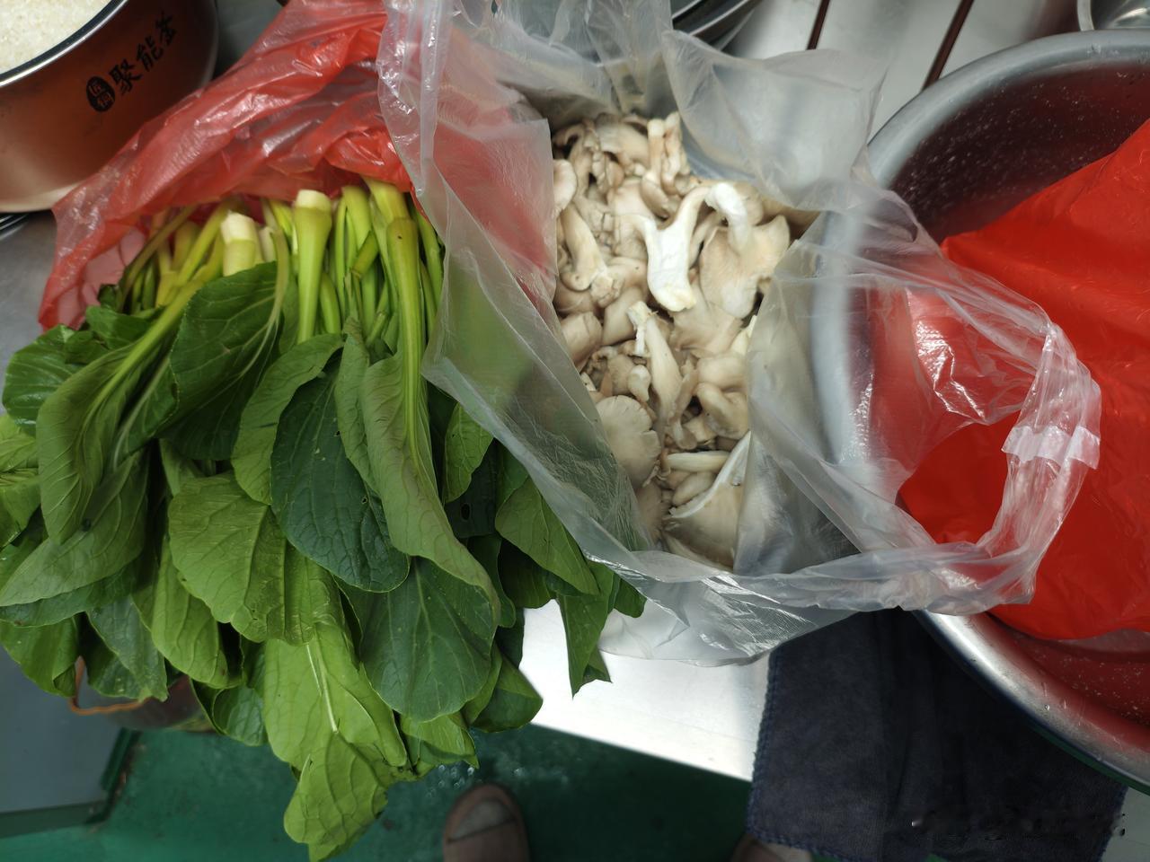 早上起来吃过早饭，我问老公今天买点什么青菜，老公说今天不去买菜了，家里的冰箱里还