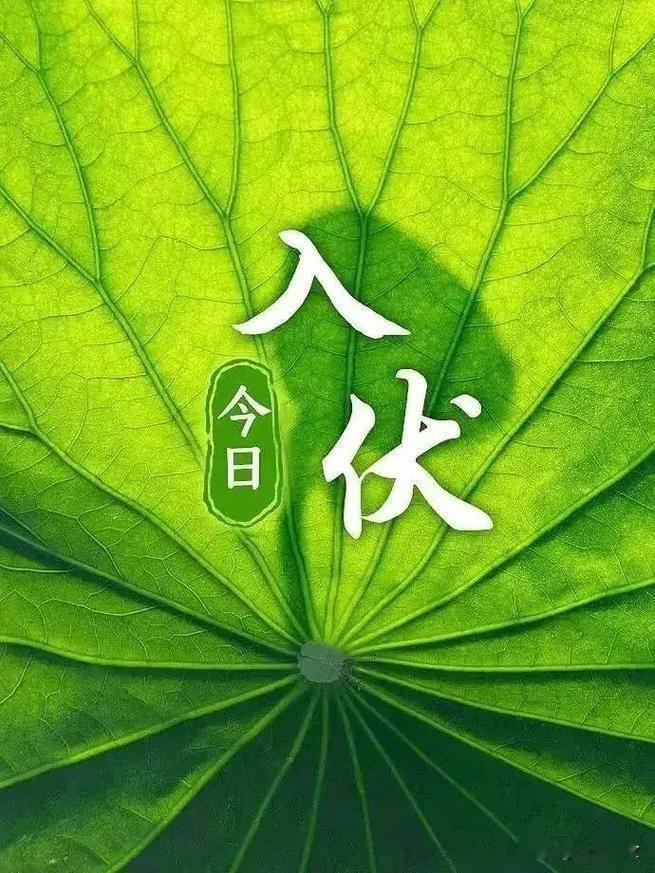 “男怕入伏，女怕小雪”，今日入伏，提醒男人：3事不做，3样多吃2026年7