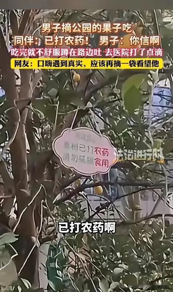 “这下后悔了吧！”近日，四川，一男子逛公园时，看见树上有果子，于是就想上前摘下来