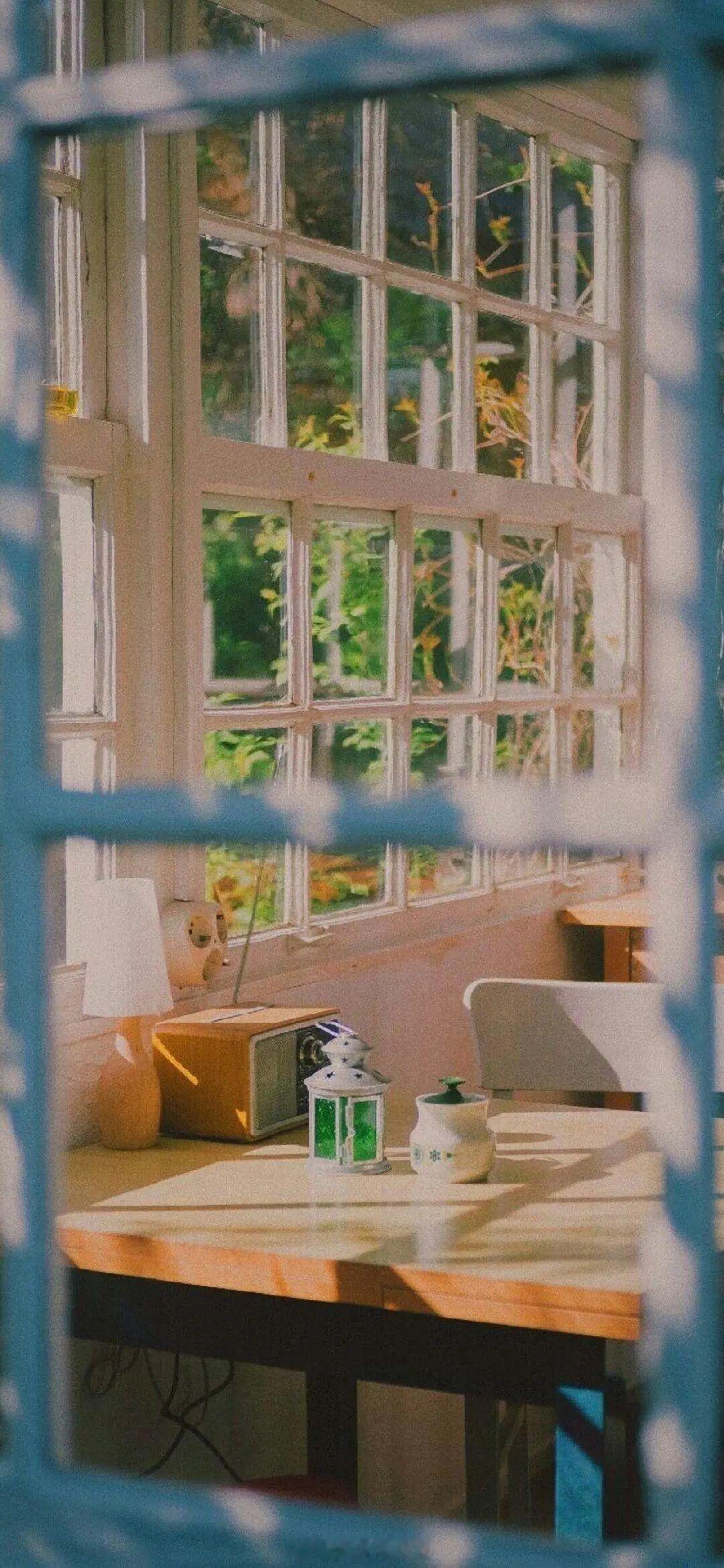 要是哪天秦淮一恰好回头，他一定能在攒动的人头中看到她。但秦淮一好像，从不回头。—