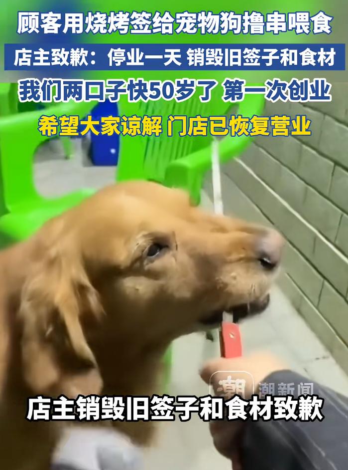 太恶心！顾客用烧烤签子直接喂狗，店主发现后销毁所有旧签子和食材：我快50了第一次