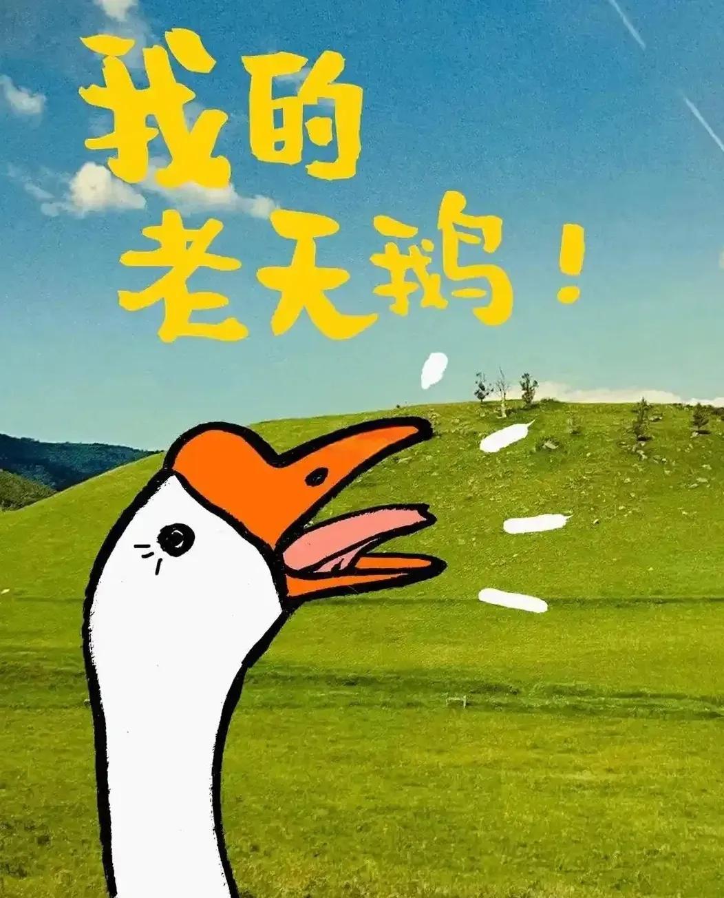 简言简语，绝了～巧遇同事小姐姐，说另一个同事去“剪头”了。我还在纳闷，