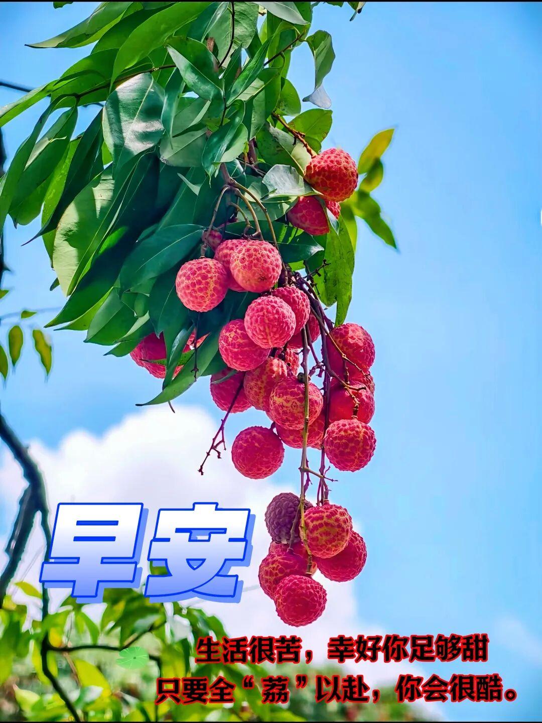 少一点忧虑，多一份安适。生活就是一天天积攒起来的快乐。希望您的家永远都是避风的港