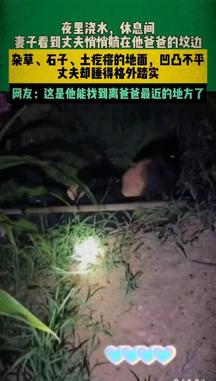 夜里浇水，休息间妻子看到丈夫悄悄躺在他爸爸的坟边。杂草、石子、土疙瘩的地面，凹