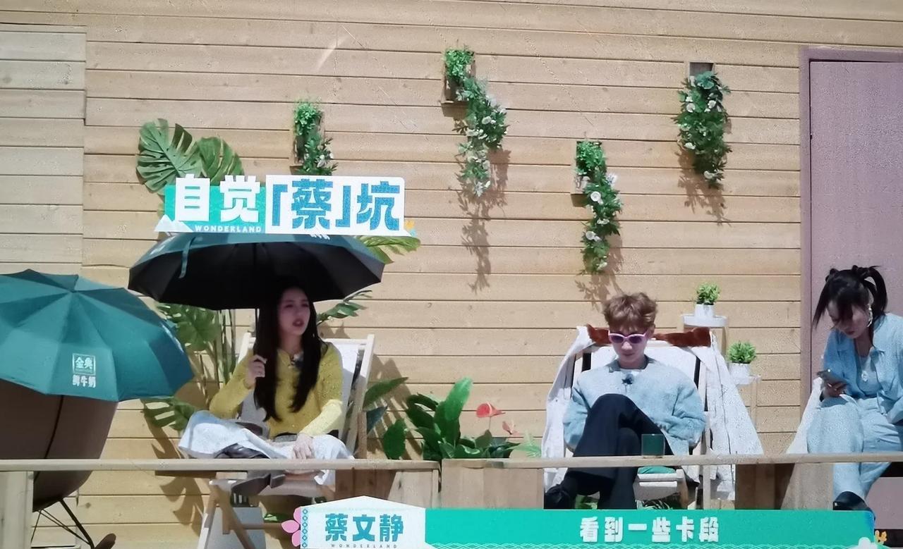 蔡文静太实诚了！她说自己去录制《桃花坞》就是看到之前的节目有矛盾有争议，热度很大