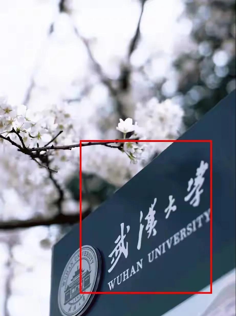 武汉大学图书馆的舆论正在外溢，武大的校友们在忙着切割，比如小米老总雷军，就把母校
