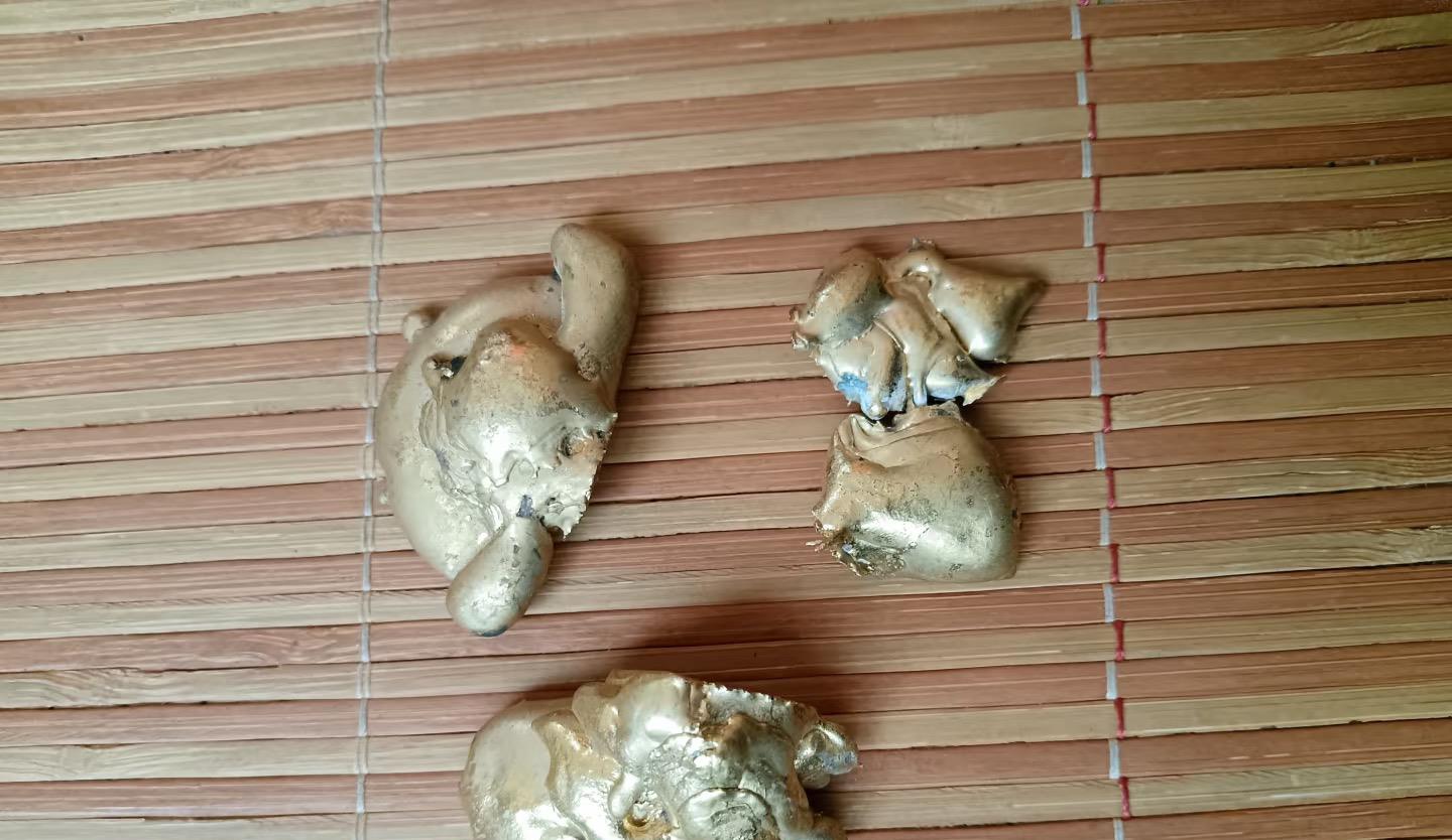 垃圾桶旁边捡到的，是黄金吗？