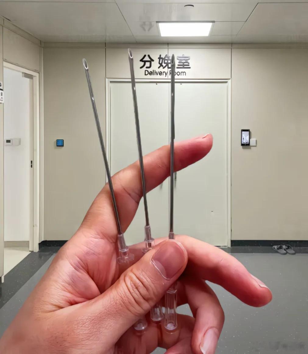 取卵针那么长真的不痛吗我以为无痛分娩的针已经够长的。（图源网络）