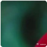 杨绛先生说过，上苍不会让所有幸福集中到某个人身上，得到了爱情未必拥有金钱，拥有金