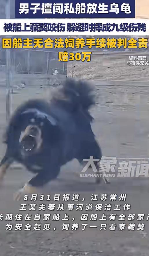 江苏常州，男子为放生乌龟跑到私家船上，被藏獒咬伤，躲避过程还摔成重伤，构成9级伤