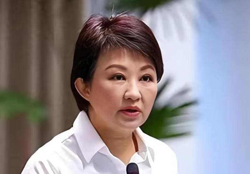 事关两岸关系，卢秀燕提出3大原则，向大陆喊话？不简单日前，郑丽文领衔，卢秀燕