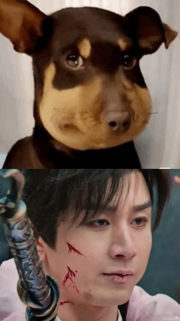 有人把蜂蜜小狗和老e放一起，哈哈哈，不行了​​​