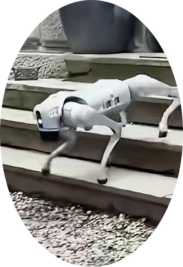 印度人说谎的水平真高，2月16日印度加尔戈蒂亚斯大学为了扩大影响，在新德里ai峰