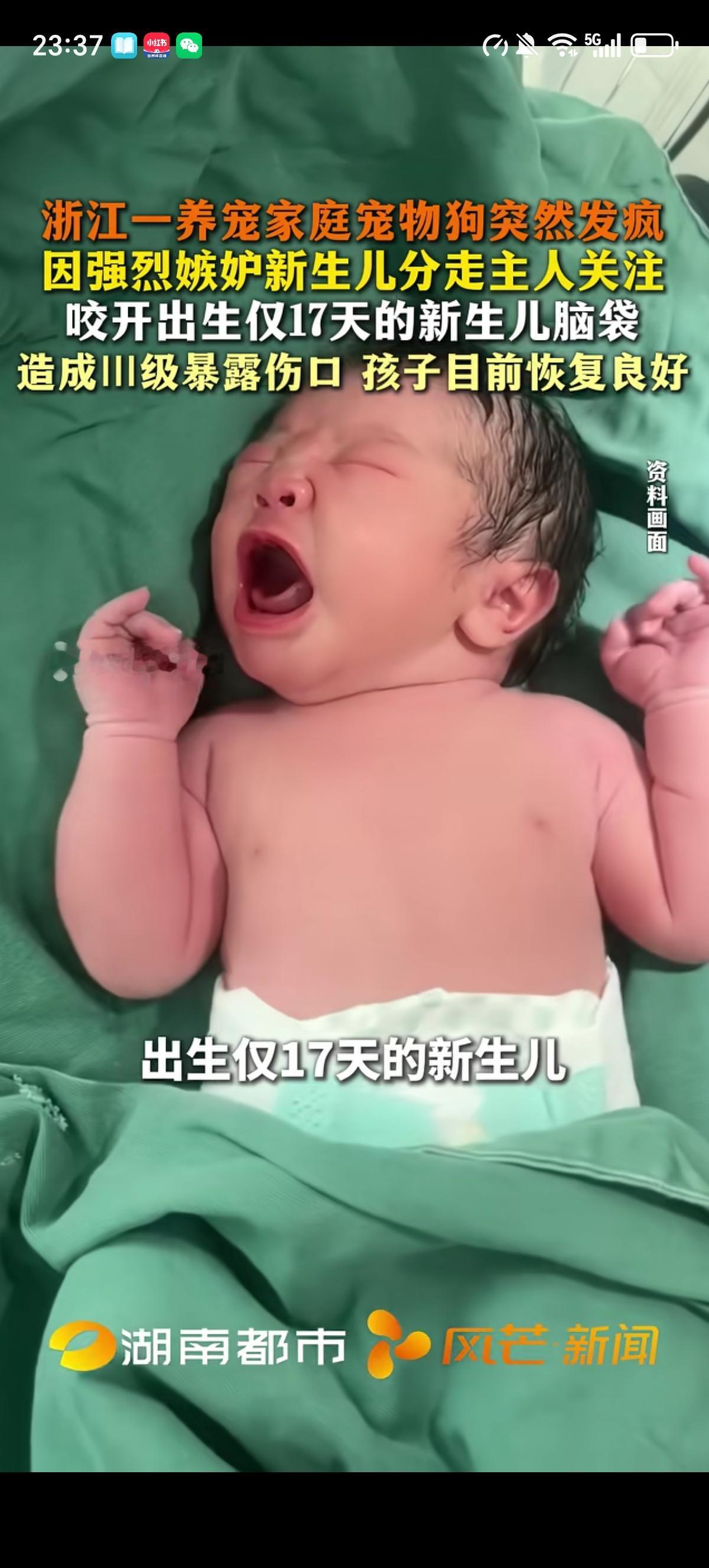 浙江杭州一户养狗人家家里婴儿出生17天了，那只狗趁着大人短暂离开婴儿偷偷靠近并张