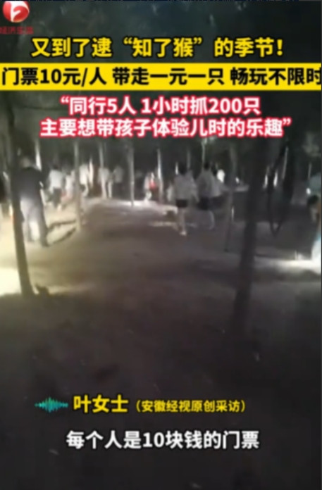 “简直就是捡钱啊！”2025年6月，江苏徐州，一老板为了赚钱，开放自家“知了猴”
