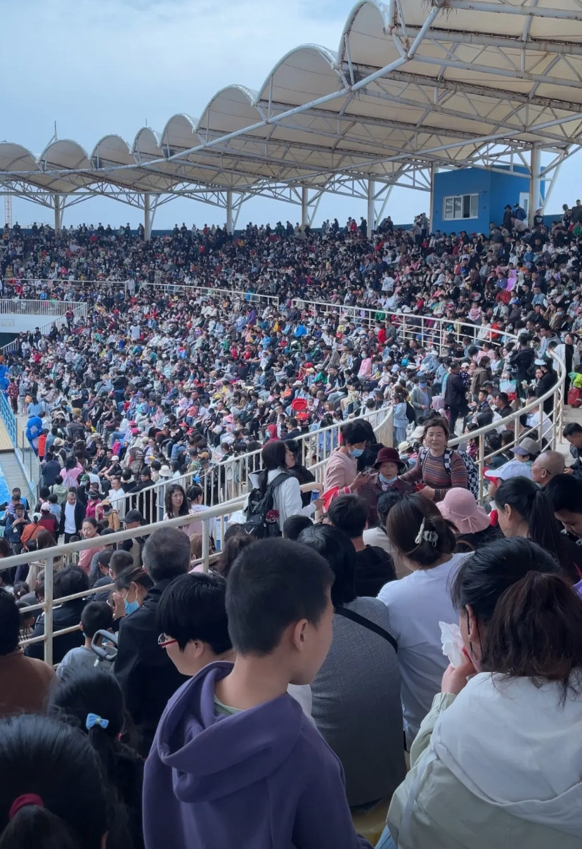 看来大部分人还是穷游这不，文旅部数据出来了真相藏不住了！出游的人比以前多了1