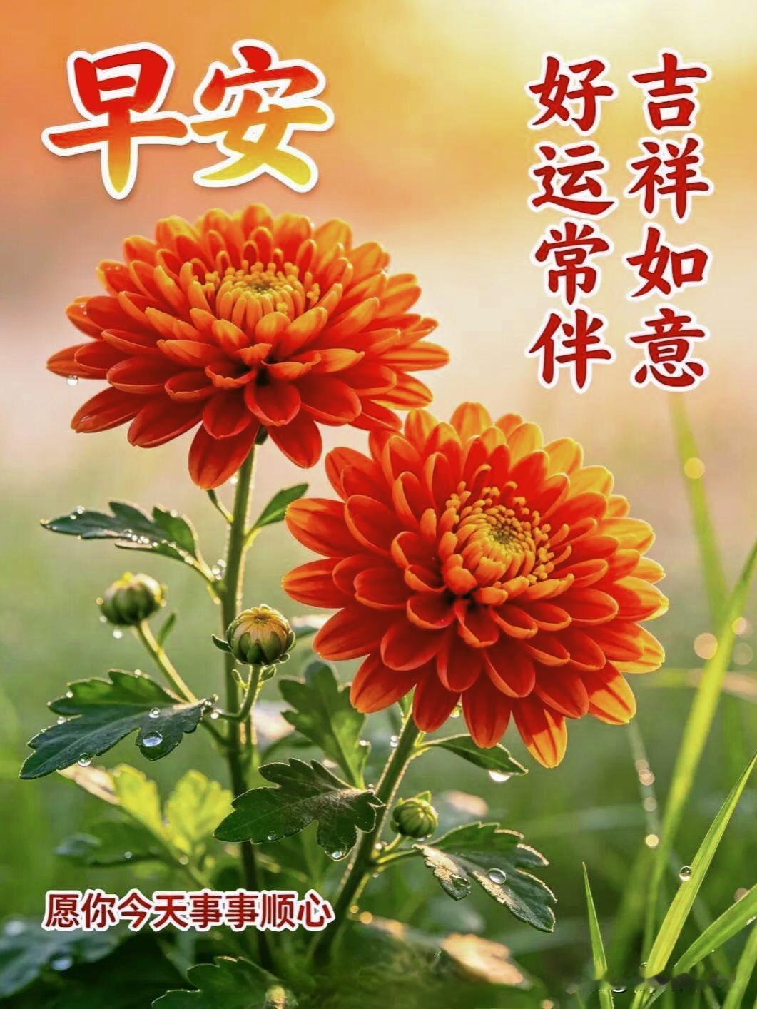 九月的风，吹散盛夏的烦闷；九月的光，抚平心底的褶皱。不必困于过去的遗憾，也不必焦