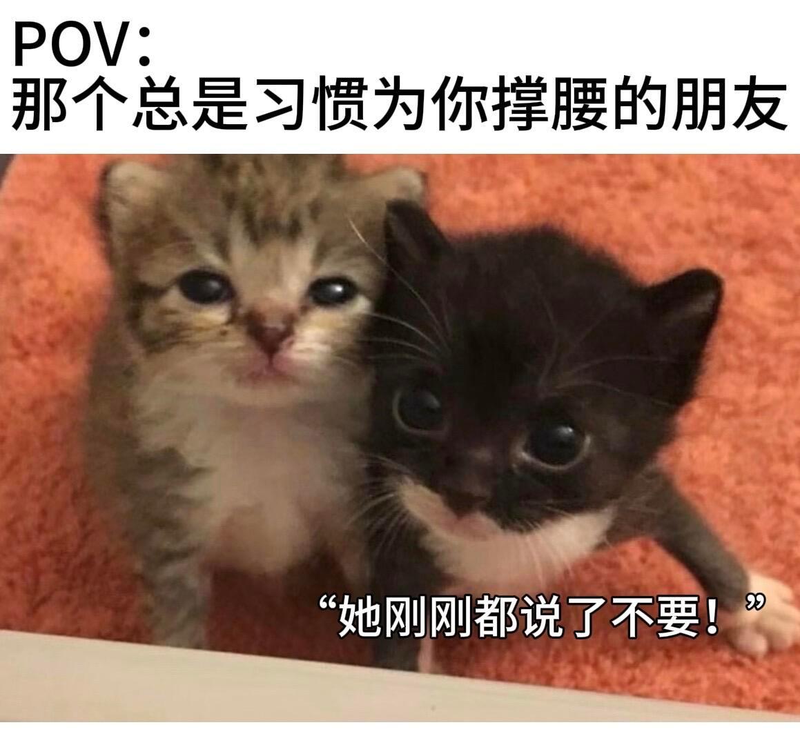 咪的学生时代这个meme看得我心软软的🥺🥺眼泪向下咪上学🎒