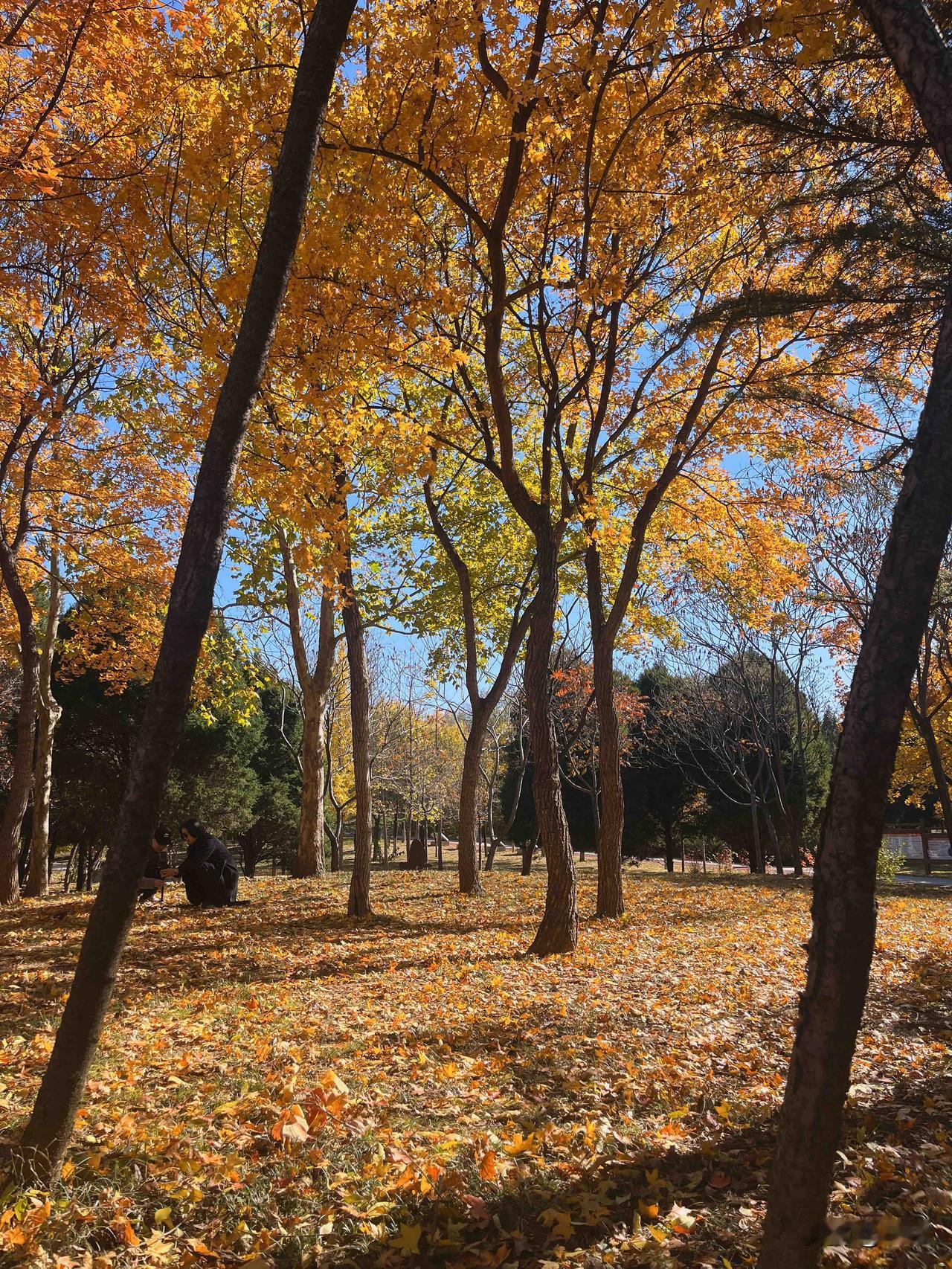 我见过这样的人，已经当婆婆的年纪，儿子都过35岁了，还在外边插足，爱得死去活来[