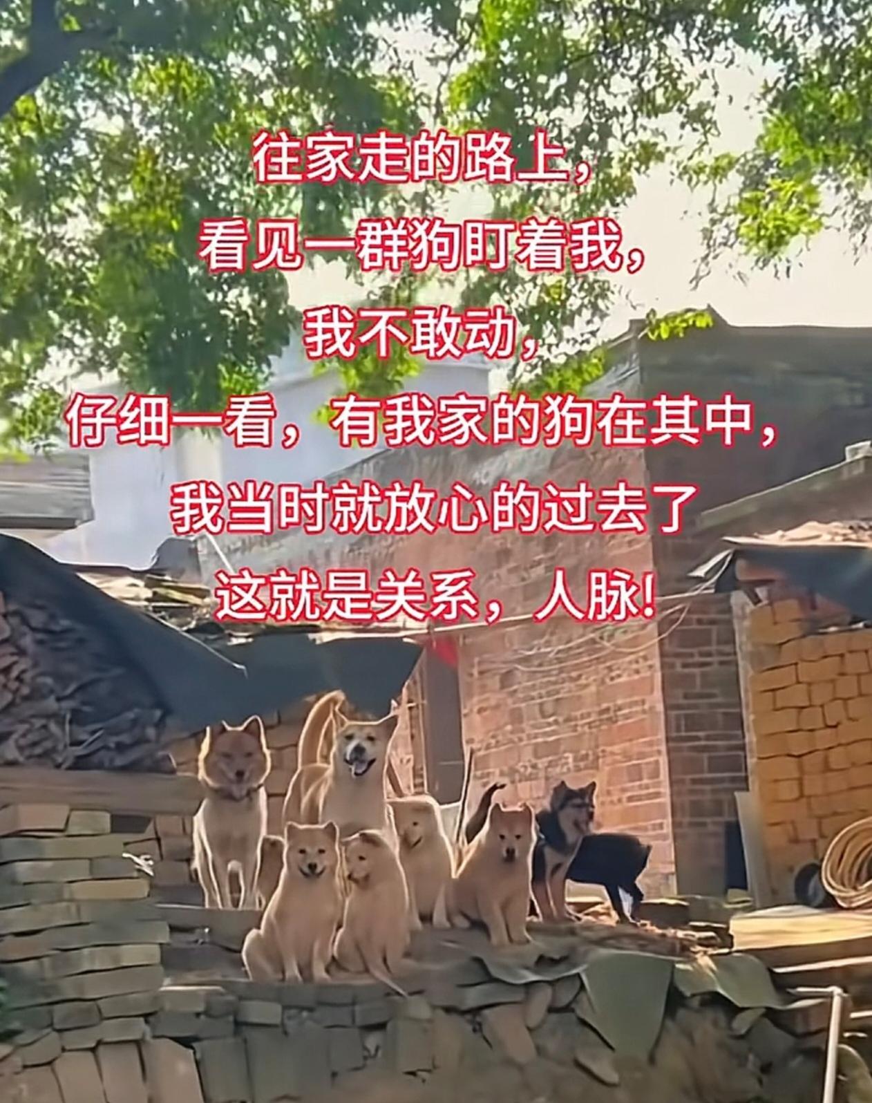 看吧，不管哪界都是讲人情世故的！酒朋狗友在这里不是贬义词了，哎，真羡慕他竟然