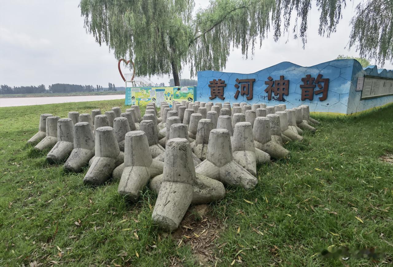 这是个什么东东？紧挨着黄河的山东邹平齐东古城遗址公园，陈列着一堆这些东东，整体