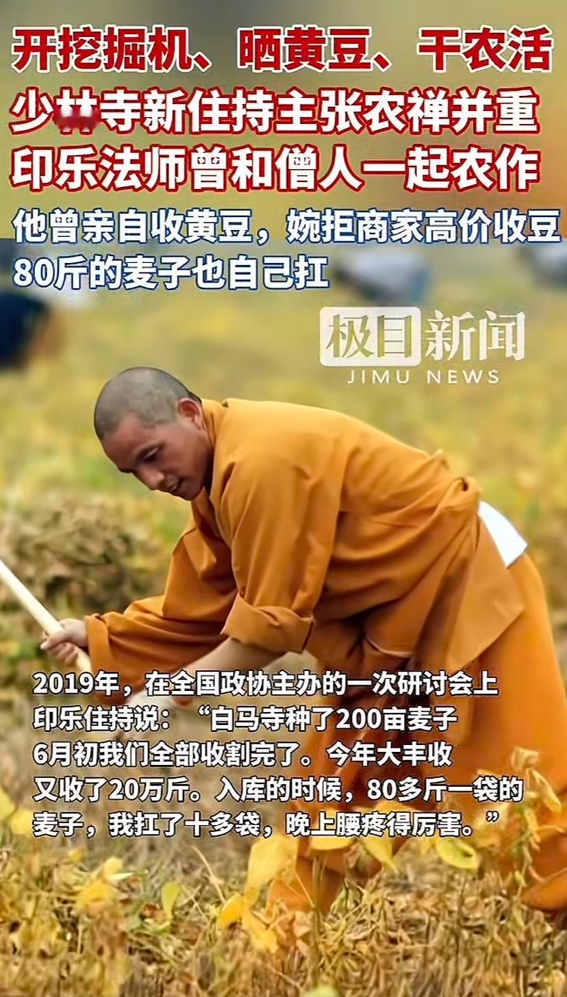 少林寺新住持印乐法师原来这么接地气，当年在白马寺当方丈也不忘出家人的本分，该干活