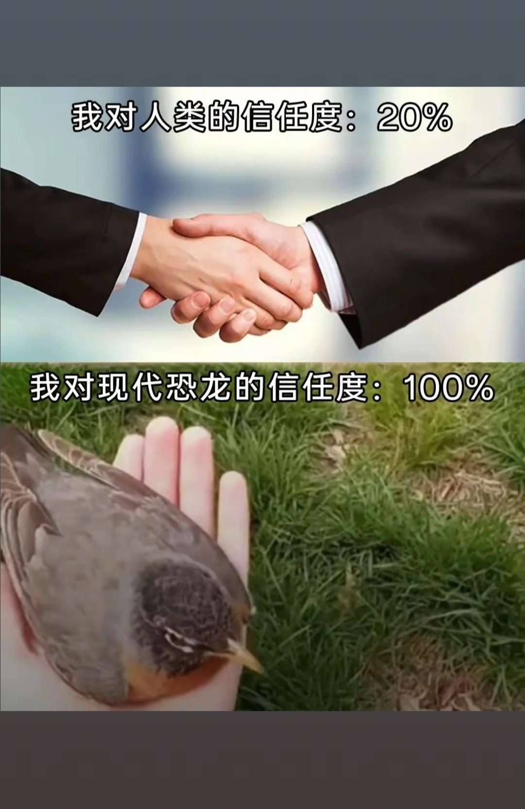 我对人类的信任度