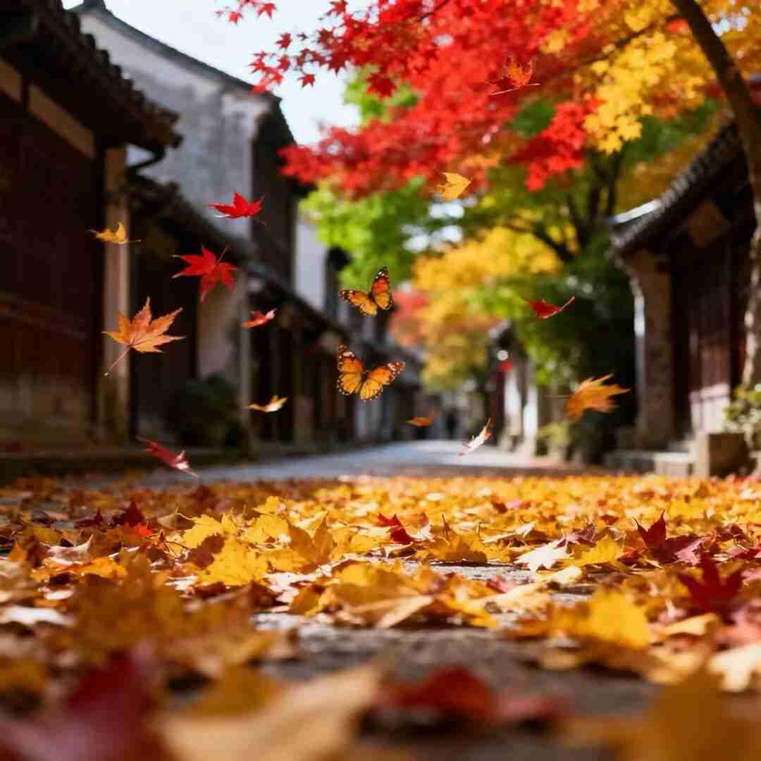 50岁，人生的新起点！路过形形色色，不忘内心纯净，愿你付出甘之如饴，所