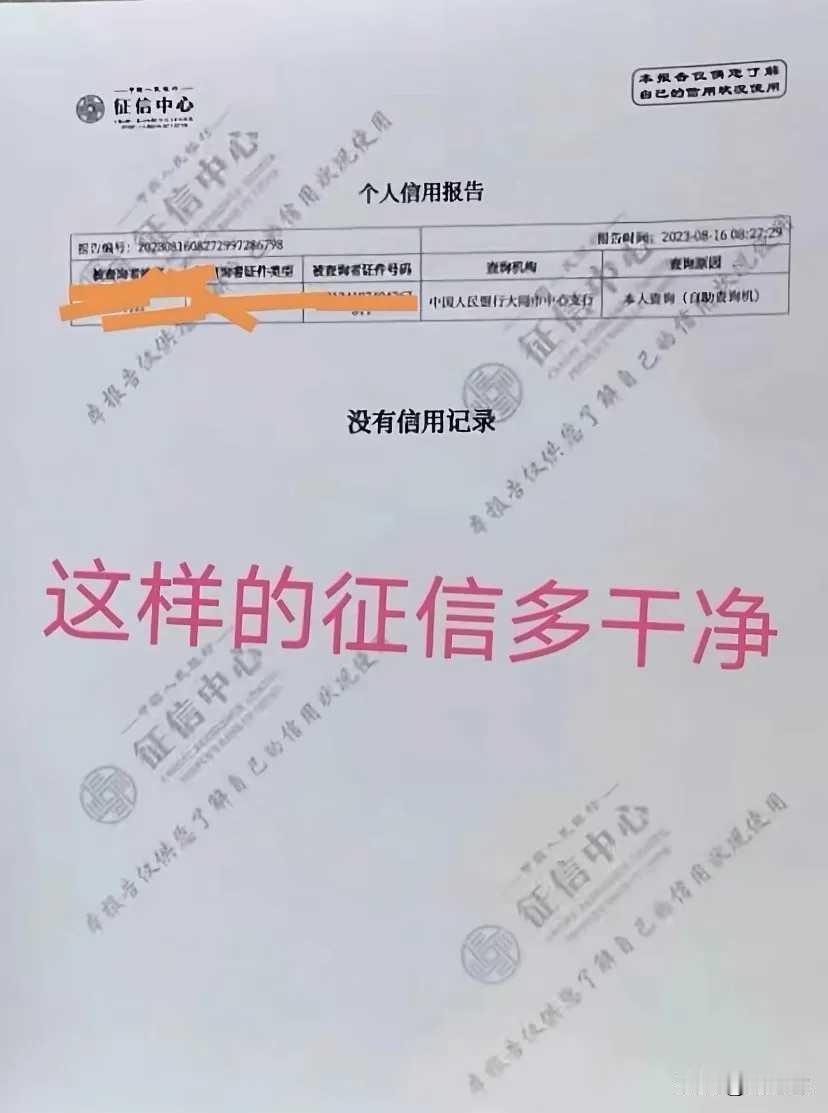 这征信应该是全网最干净的吧