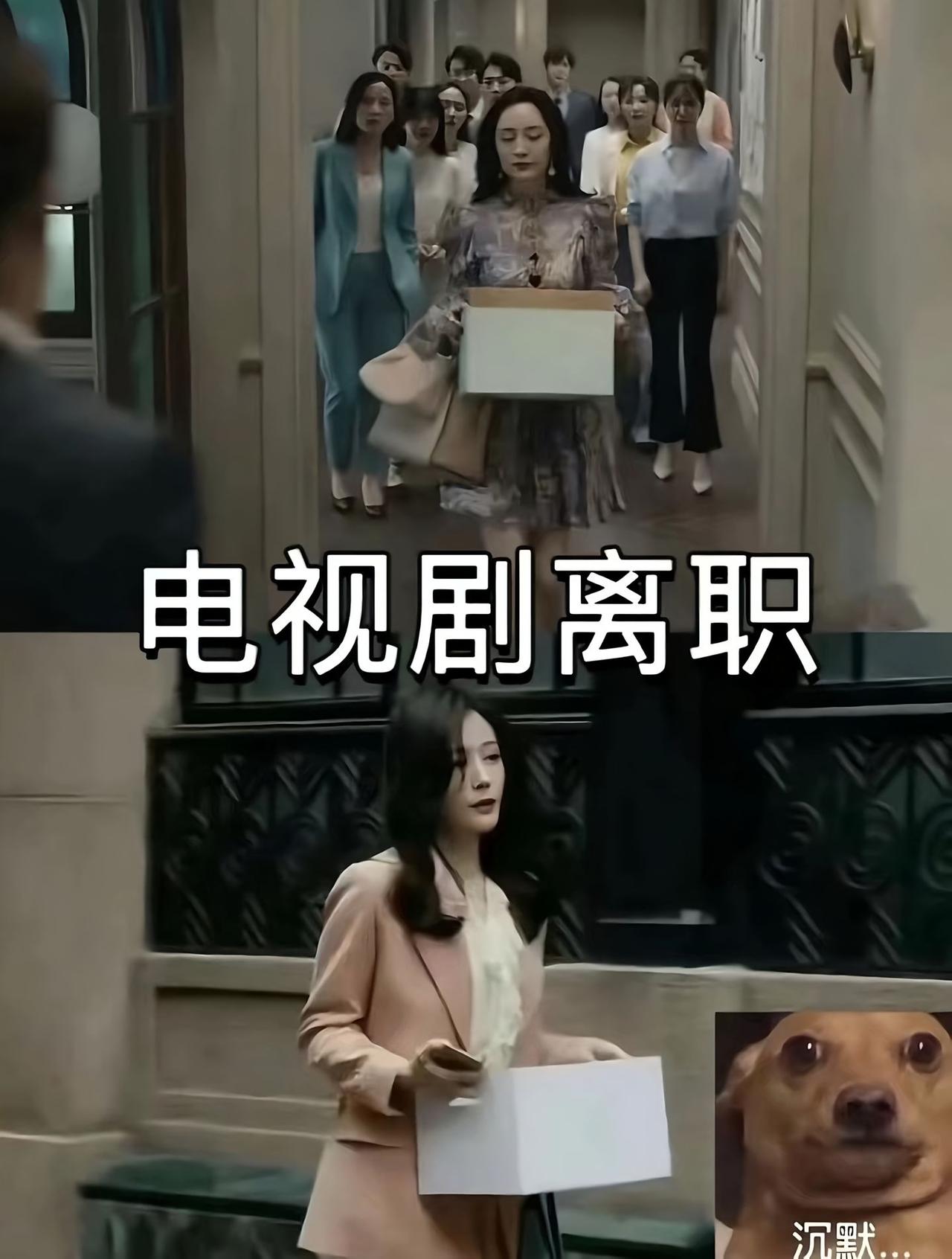 以前看电视剧，总觉得离职那天得穿上最飒的西装，抱着精致的纸箱，在众人的注视下优雅