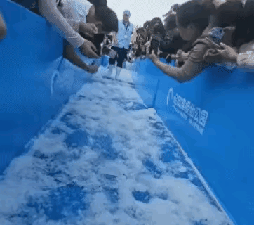 无知的人多可怕，恐怕是不知道企鹅的牙齿有多锋利。