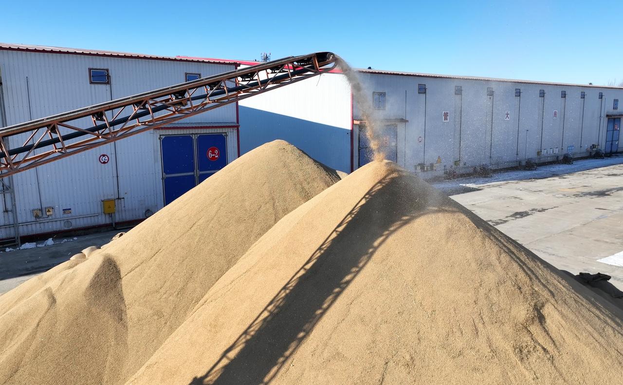 我还挺看好二氧化碳合成淀粉的。传统淀粉靠农作物种植，得耗费大量土地、水和肥料，还