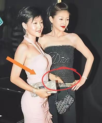 大S不得不承认，她有一点是比不上小S的，不是她的容貌不及小S，也不是她的名气