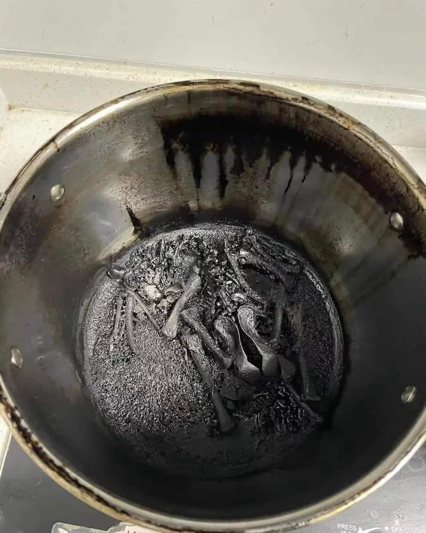 莪厨艺水平如图所示​​​