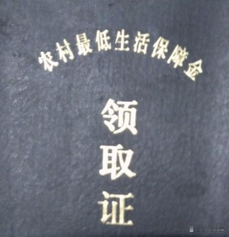 低保是什么？是最低生活保障，不能让任何一个人因为没有收入陷入到孤立无援的境地。低
