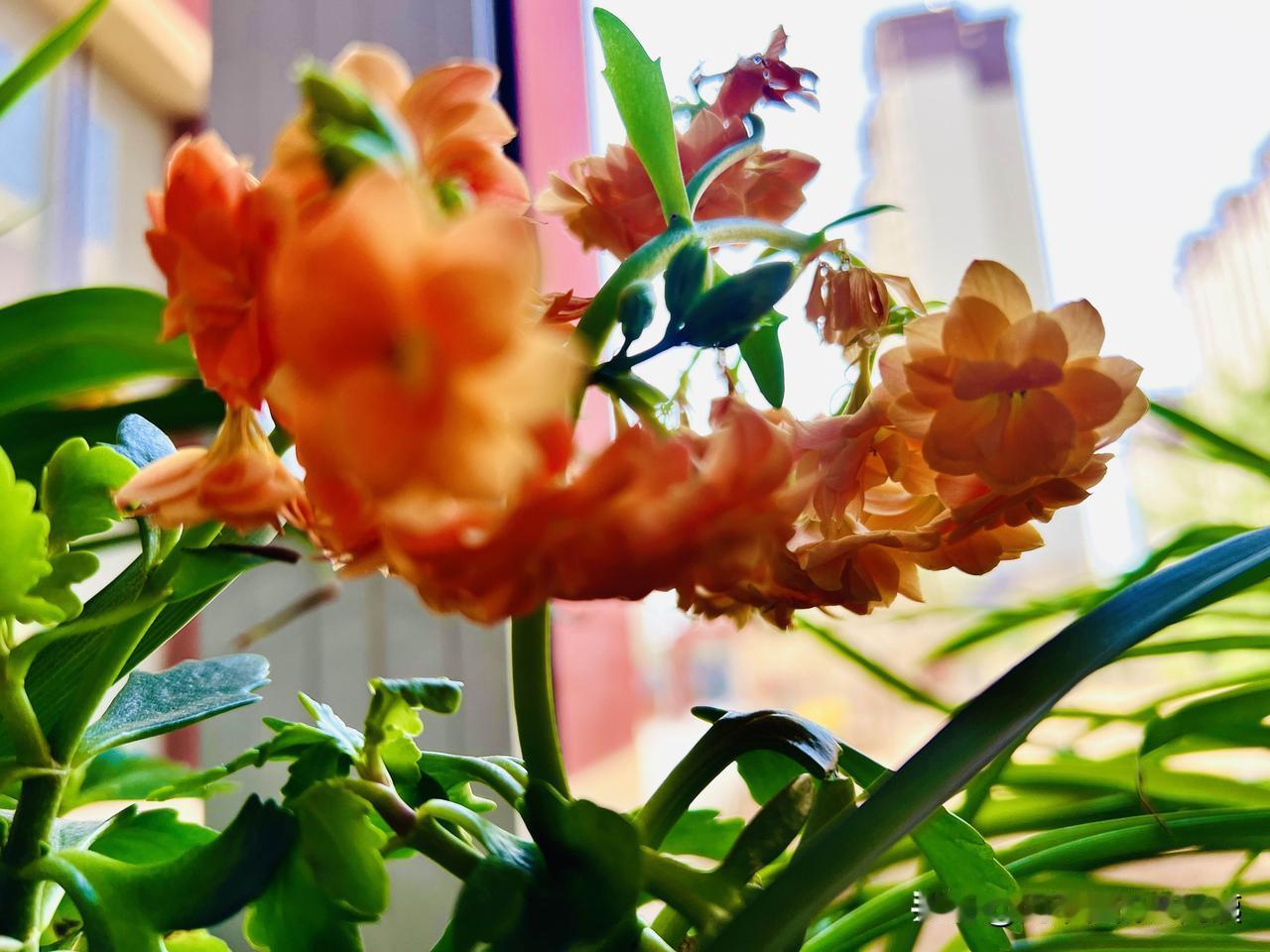 年检对汽车会有损伤吗?检测时暴力轰油门、急刹测试，对发动机、变速箱和刹车系统都