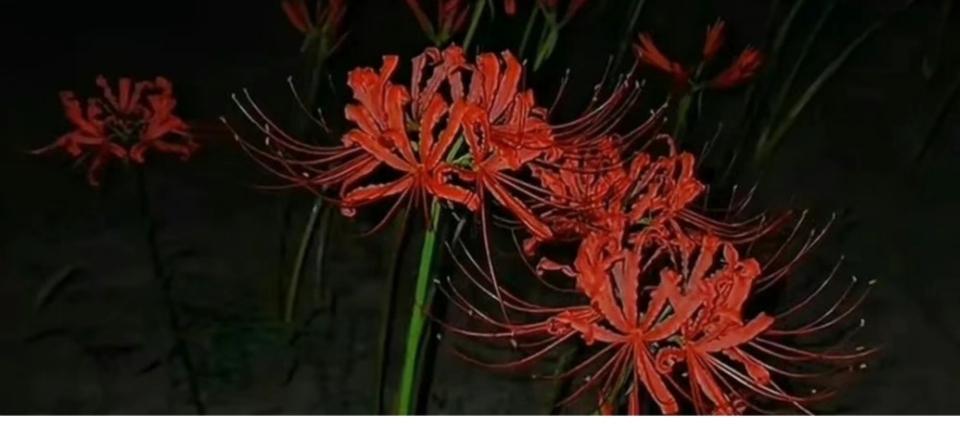 相恋三年，见完家长我妈让我分手：你嫁的不是他，是他全家的债！小宜和小苏是在