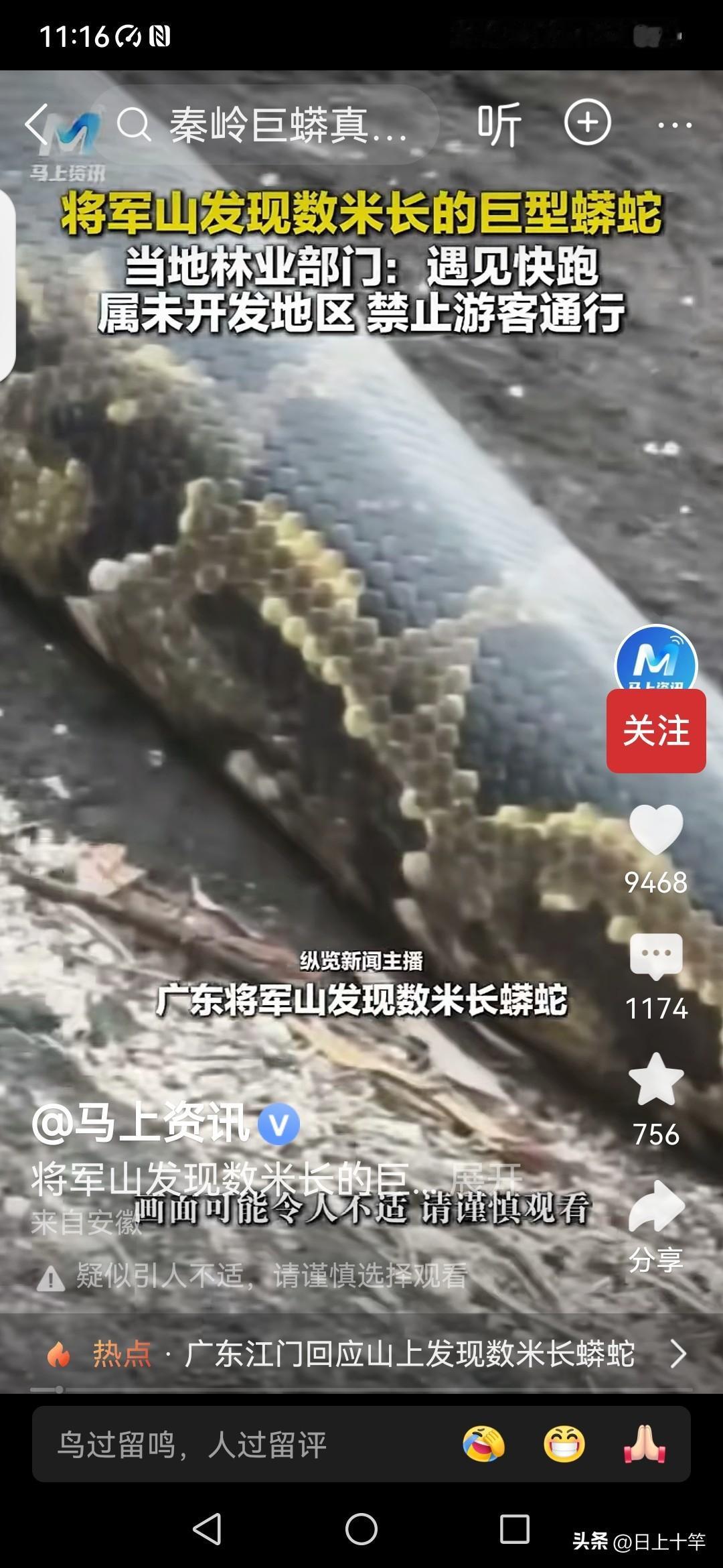 我真没想到，中国广东会有这么大的蟒蛇，总以为大蟒蛇只有在东南亚热带丛林才有！是