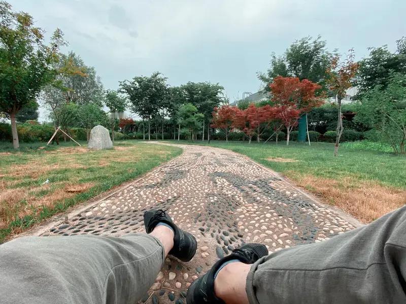 最佳的养生之道皆是免费的最好的放松方式：晒太阳最好的饮品：白开水最好的运动