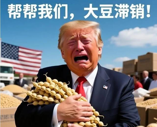 美国大豆惨遭退货，中国一招破局！全球供应链巨变，每年省下千亿进口开销。过去多年，
