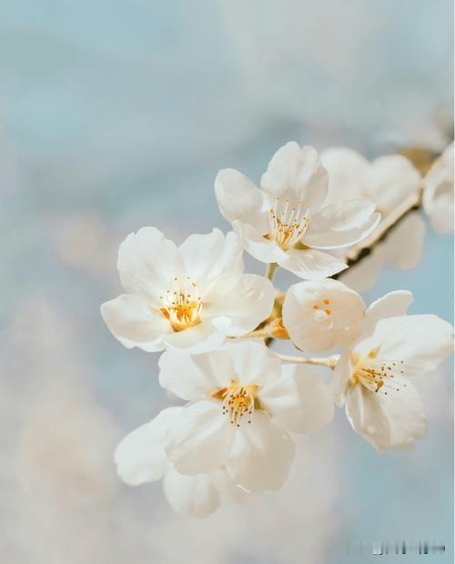 那伙闹分子总是在造谣说，农村老人如何如何生活困难，开口闭口讨要养老金。请问这些老