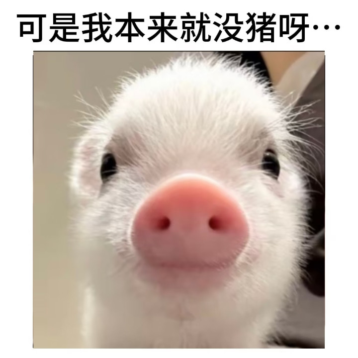 把“错”换成“猪”会发生什么