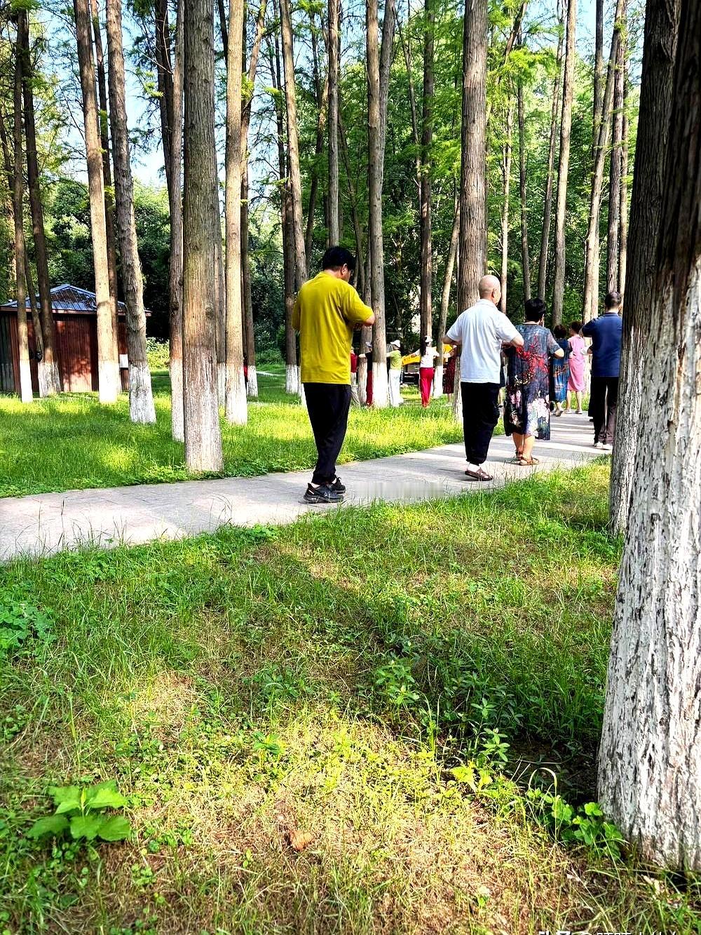 我公公这阵子真是像换了个人，69岁的人，嘴甜得我都有点不适应了。以前我给他买点