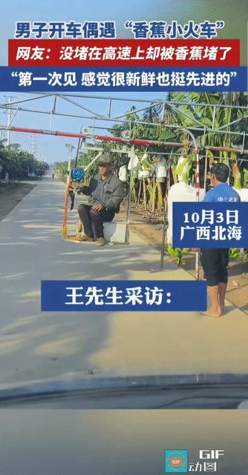 “香蕉坐专座？”广西北海，一名男子开车偶遇当地人收香蕉，却被眼前景象惊得目瞪口呆