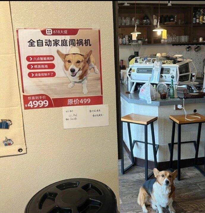 当小动物被动物圈通缉​​​