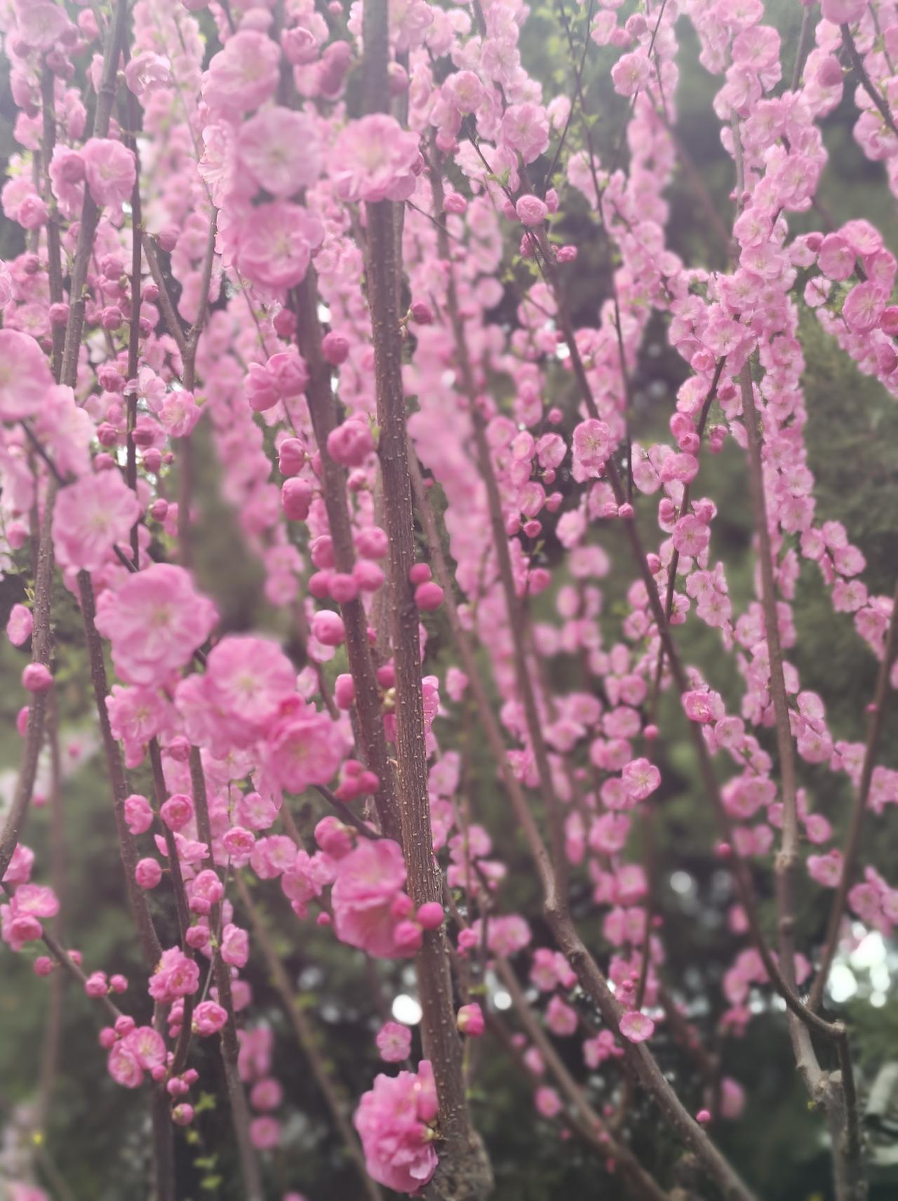 人这一辈子，悟透这两点就够了人活一世，拼到最后，拼的从来不是财富与地位，而