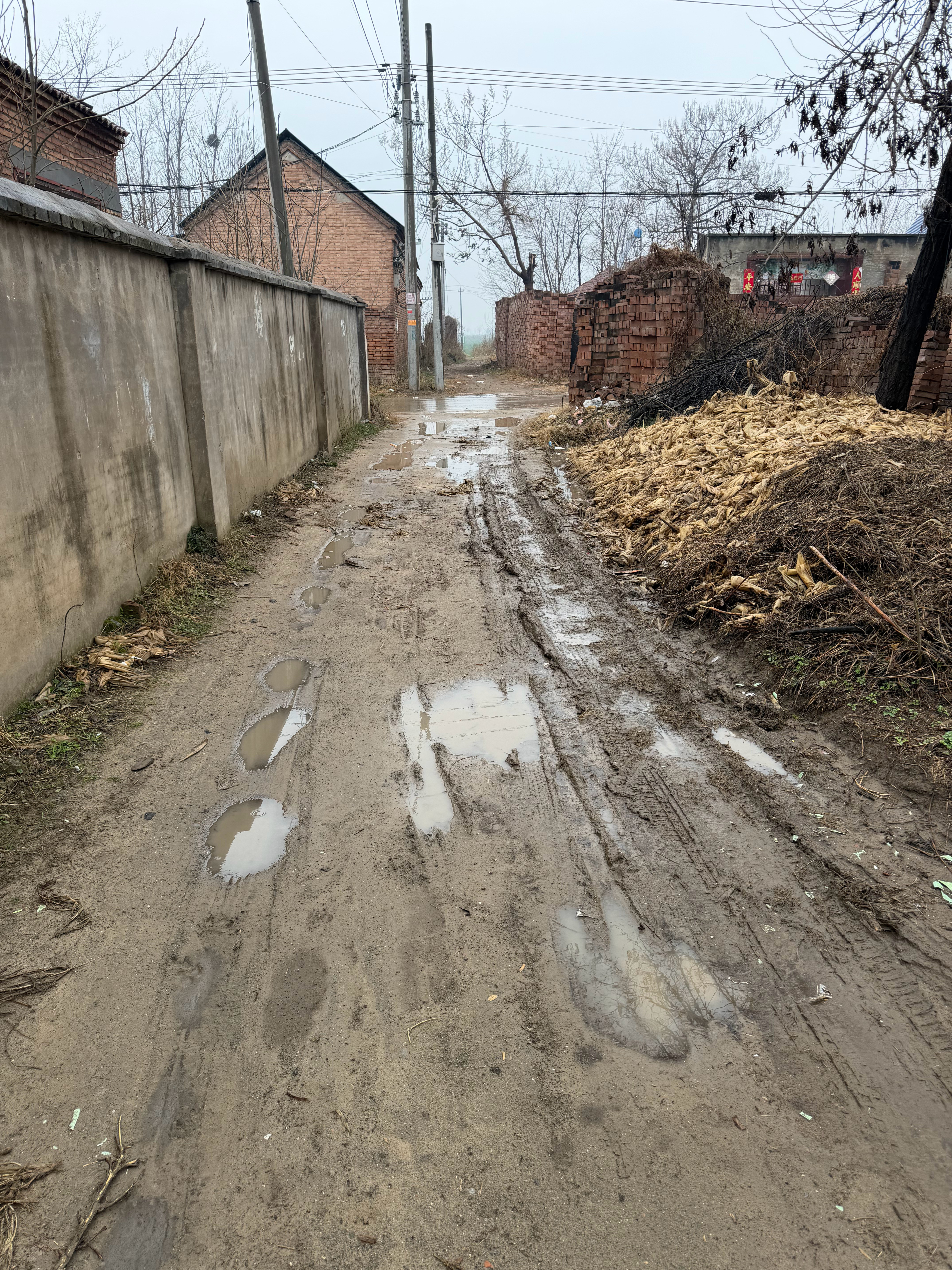 下午过后的“水泥路”，到底谁的村里，家门口都带铺路的