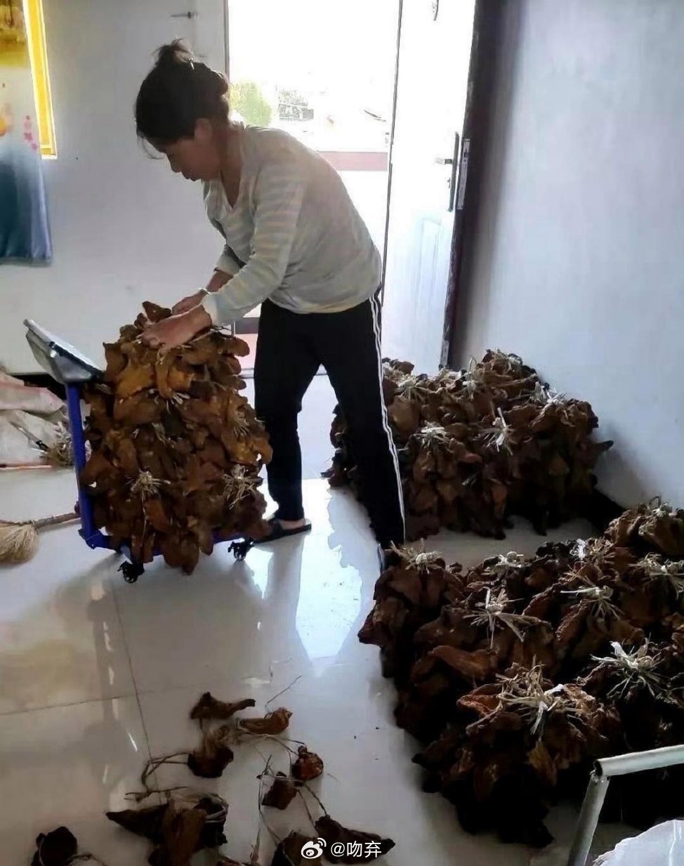这才是真正的大户人家，太让人羡慕了