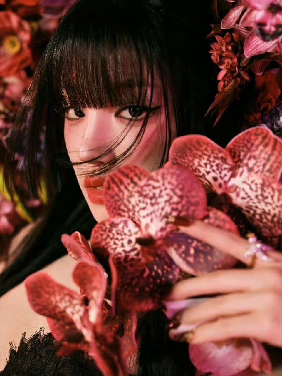 宋雨琦VOGUE出发图宋雨琦躺进花花世界里宋雨琦躺进花花世界